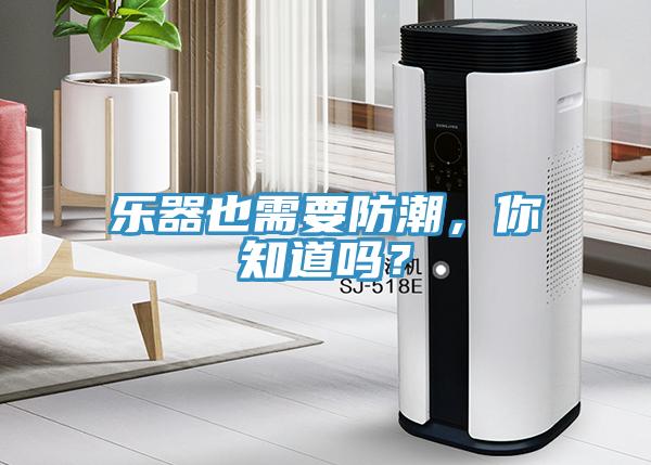 樂器也需要防潮，你知道嗎？