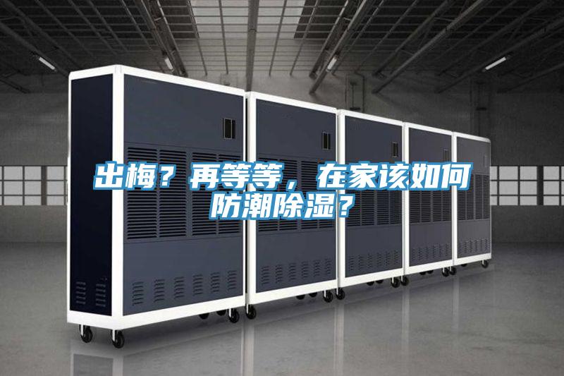 出梅？再等等，在家該如何防潮除濕？