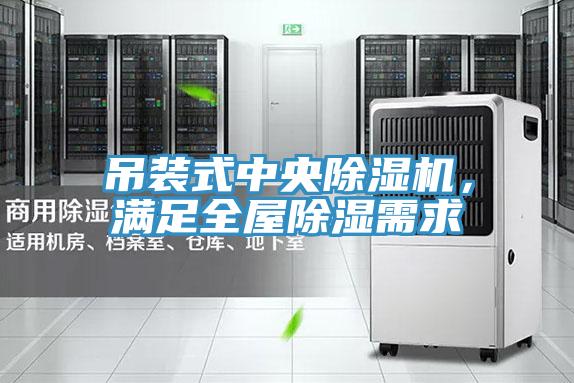吊裝式中央除濕機(jī)，滿足全屋除濕需求