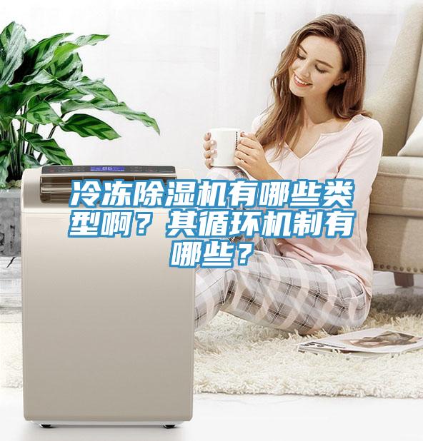 冷凍除濕機(jī)有哪些類型?。科溲h(huán)機(jī)制有哪些？
