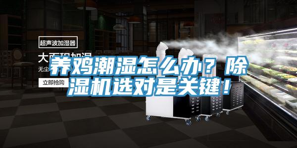 養(yǎng)雞潮濕怎么辦？除濕機選對是關(guān)鍵！