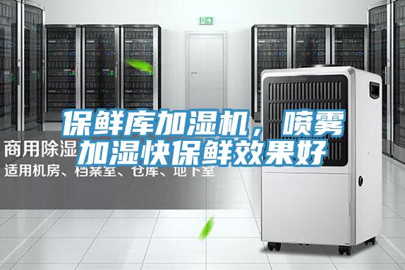 保鮮庫加濕機，噴霧加濕快保鮮效果好