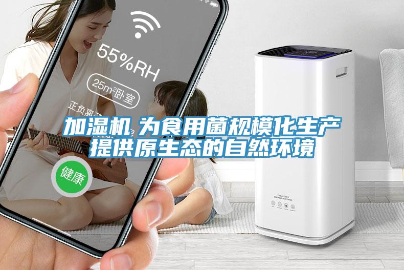 加濕機　為食用菌規(guī)?；a(chǎn)提供原生態(tài)的自然環(huán)境