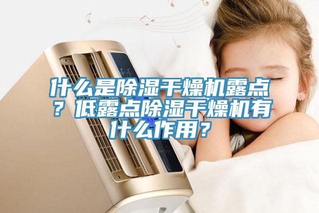 什么是除濕干燥機露點？低露點除濕干燥機有什么作用？