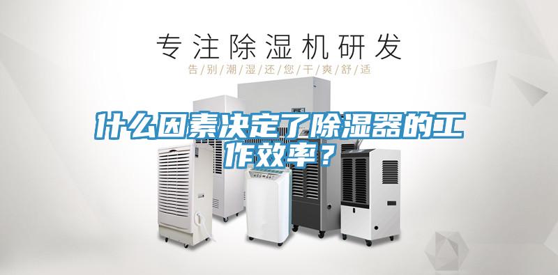什么因素決定了除濕器的工作效率？