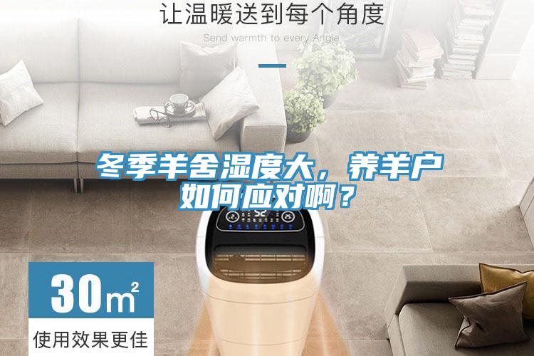 冬季羊舍濕度大，養(yǎng)羊戶如何應(yīng)對(duì)??？