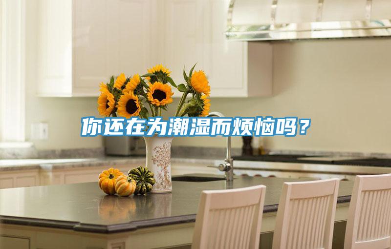 你還在為潮濕而煩惱嗎？