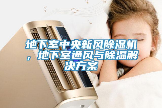 地下室中央新風除濕機，地下室通風與除濕解決方案