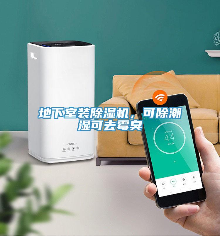 地下室裝除濕機(jī)，可除潮濕可去霉臭