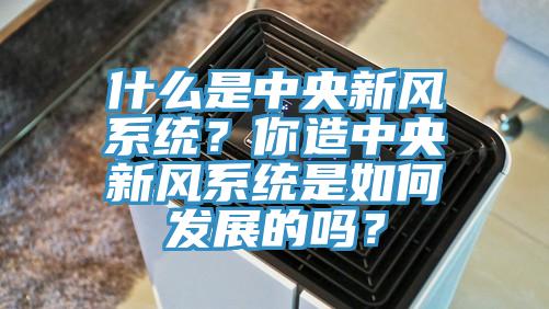 什么是中央新風(fēng)系統(tǒng)？你造中央新風(fēng)系統(tǒng)是如何發(fā)展的嗎？