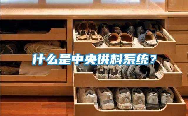 什么是中央供料系統(tǒng)？