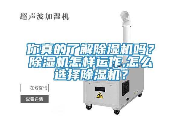 你真的了解除濕機嗎？除濕機怎樣運作,怎么選擇除濕機？