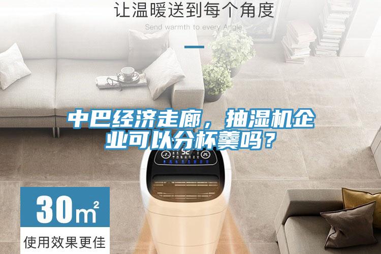 中巴經(jīng)濟(jì)走廊，抽濕機(jī)企業(yè)可以分杯羹嗎？