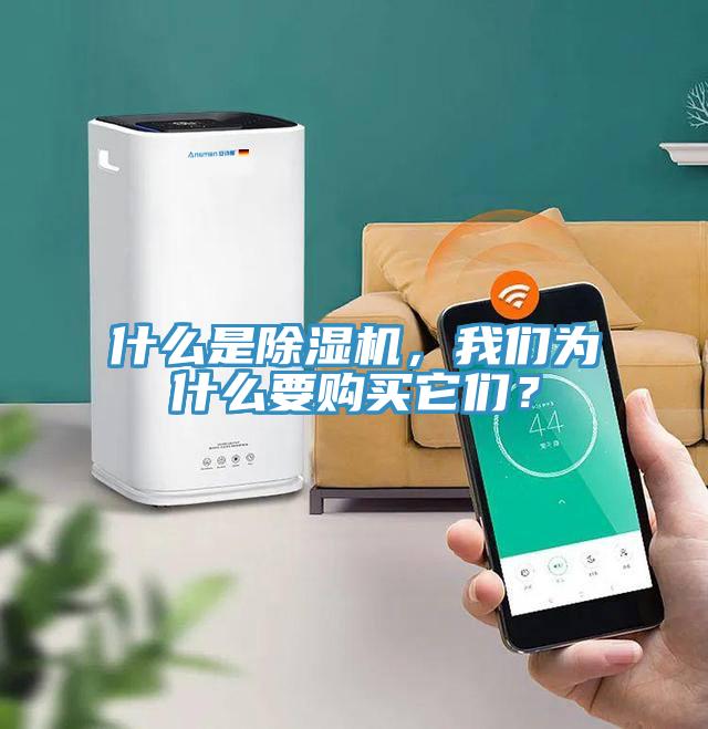 什么是除濕機，我們?yōu)槭裁匆徺I它們？