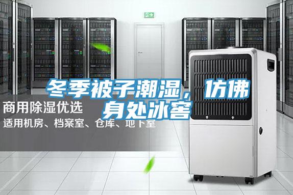 冬季被子潮濕，仿佛身處冰窖