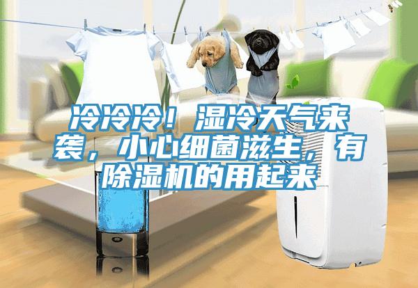 冷冷冷！濕冷天氣來襲，小心細(xì)菌滋生，有除濕機(jī)的用起來
