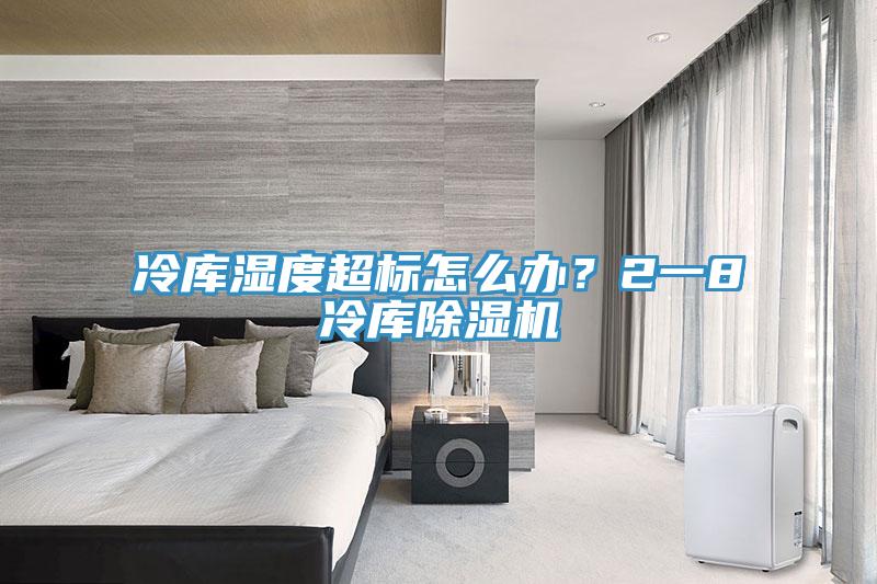 冷庫濕度超標(biāo)怎么辦？2一8℃冷庫除濕機(jī)