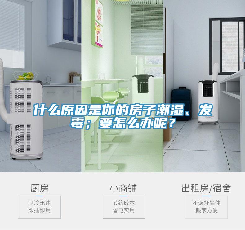 什么原因是你的房子潮濕、發(fā)霉；要怎么辦呢？