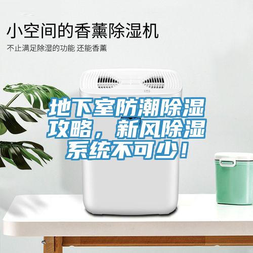 地下室防潮除濕攻略，新風(fēng)除濕系統(tǒng)不可少！