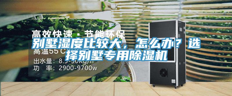 別墅濕度比較大，怎么辦？選擇別墅專用除濕機