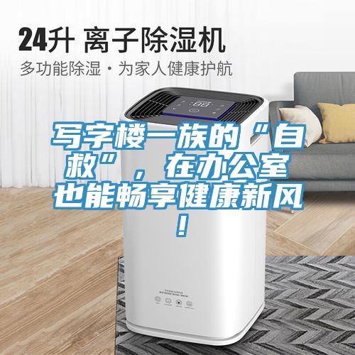 寫字樓一族的“自救”，在辦公室也能暢享健康新風(fēng)！