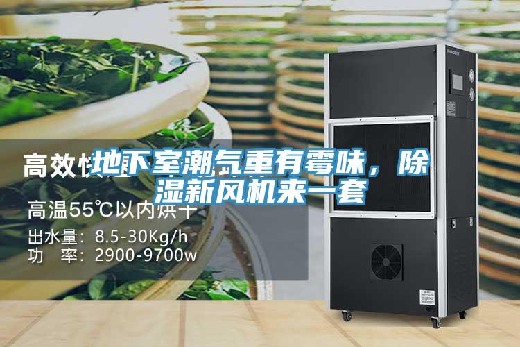 地下室潮氣重有霉味，除濕新風(fēng)機(jī)來一套