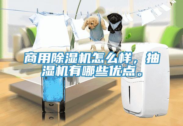 商用除濕機(jī)怎么樣，抽濕機(jī)有哪些優(yōu)點(diǎn)。
