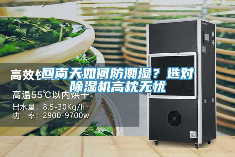回南天如何防潮濕？選對除濕機高枕無憂
