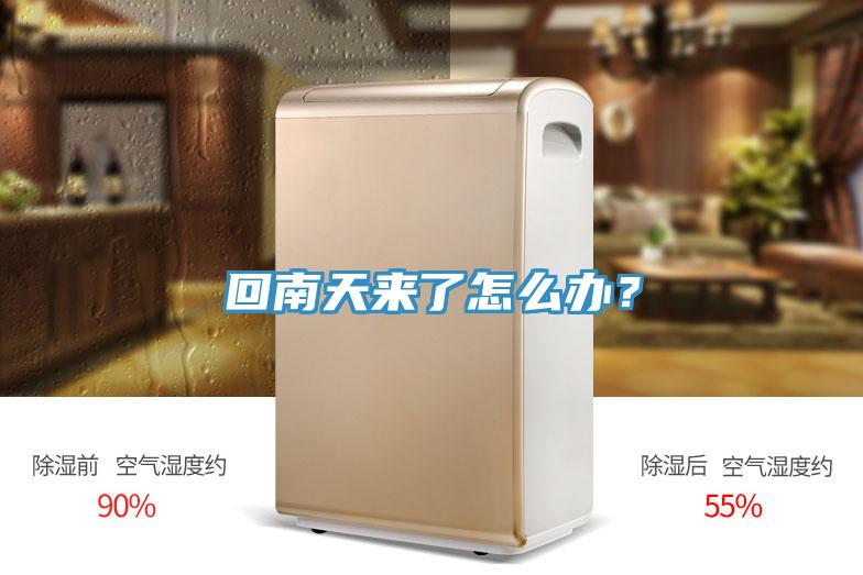 回南天來了怎么辦？