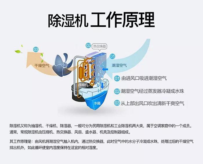 南方濕冷會致病你知道嗎？