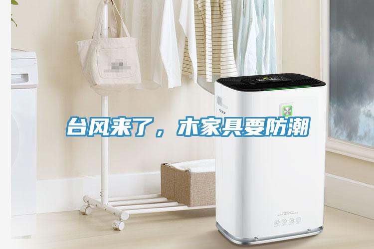 臺(tái)風(fēng)來了，木家具要防潮