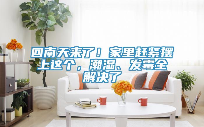 回南天來了！家里趕緊擺上這個，潮濕、發(fā)霉全解決了