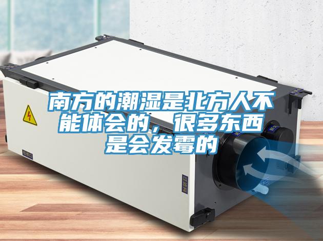 南方的潮濕是北方人不能體會(huì)的，很多東西是會(huì)發(fā)霉的
