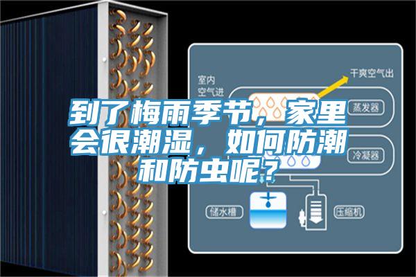 到了梅雨季節(jié)，家里會(huì)很潮濕，如何防潮和防蟲呢？