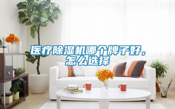 醫(yī)療除濕機(jī)哪個(gè)牌子好，怎么選擇