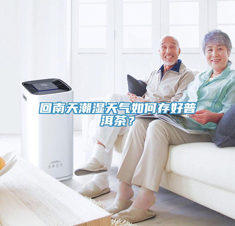 回南天潮濕天氣如何存好普洱茶？