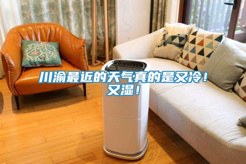 川渝最近的天氣真的是又冷！又濕！