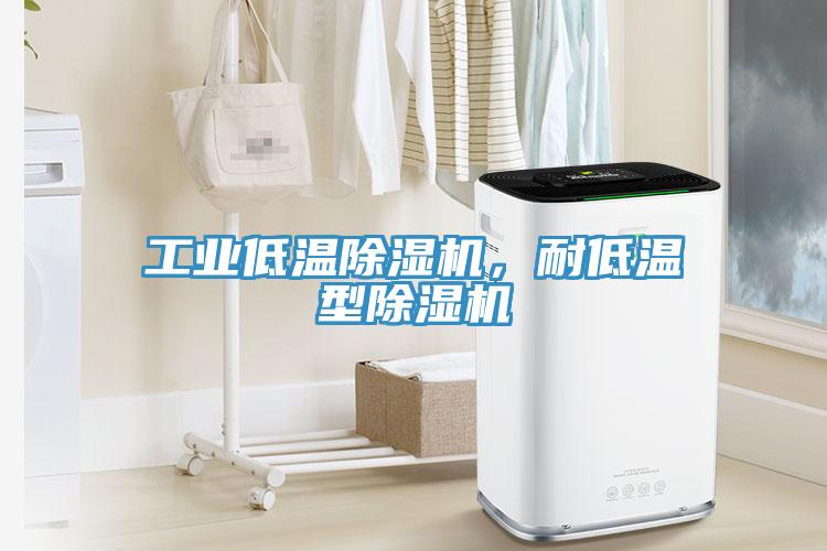 工業(yè)低溫除濕機(jī)，耐低溫型除濕機(jī)