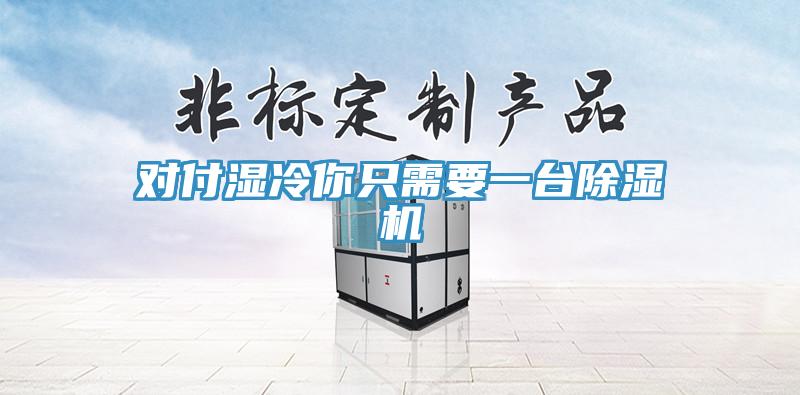 對付濕冷你只需要一臺(tái)除濕機(jī)