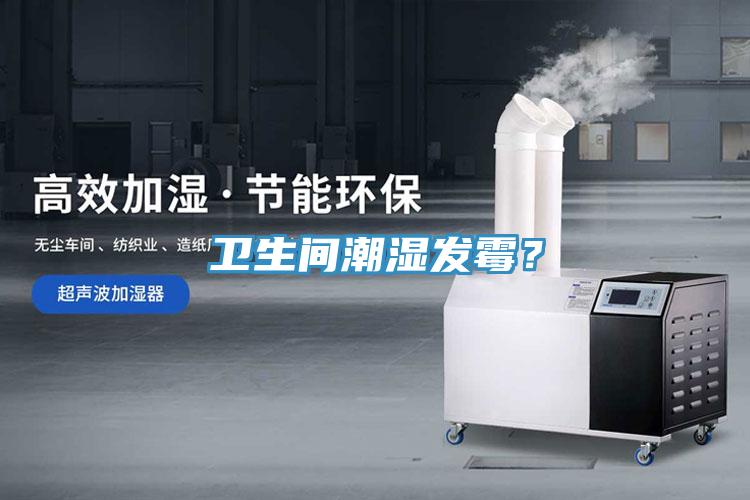 衛(wèi)生間潮濕發(fā)霉？