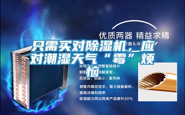 只需買對(duì)除濕機(jī)，應(yīng)對(duì)潮濕天氣“霉”煩惱