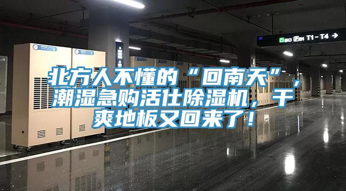 北方人不懂的“回南天”，潮濕急購活仕除濕機(jī)，干爽地板又回來了！