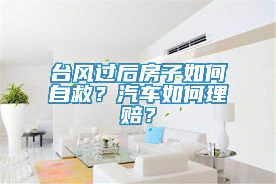 臺(tái)風(fēng)過后房子如何自救？汽車如何理賠？