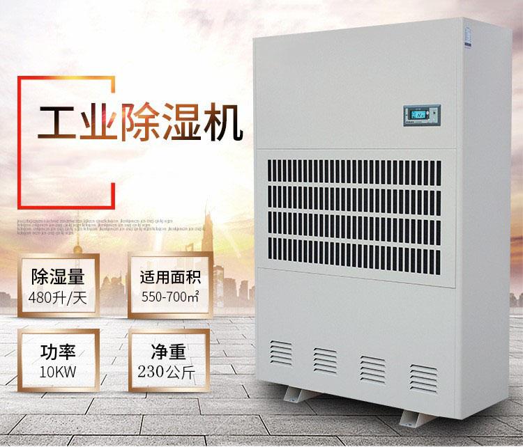 雙十一買什么？除濕機是首選