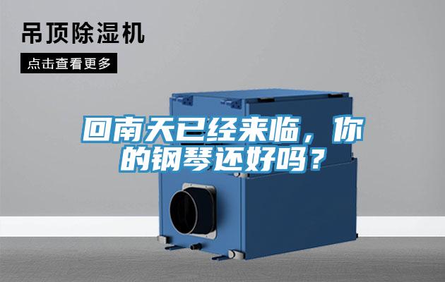 回南天已經(jīng)來臨，你的鋼琴還好嗎？