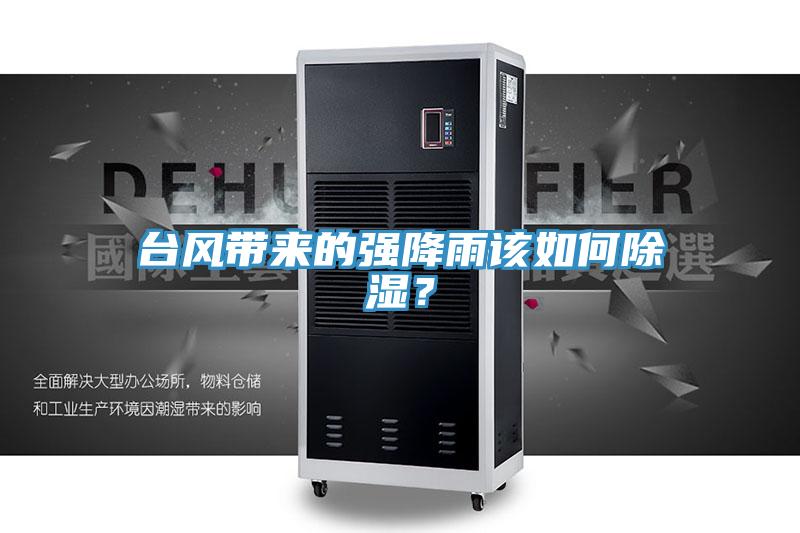 臺(tái)風(fēng)帶來(lái)的強(qiáng)降雨該如何除濕？