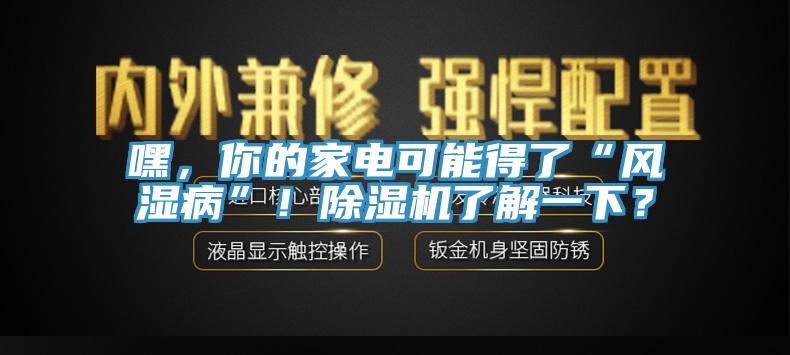嘿，你的家電可能得了“風濕病”！除濕機了解一下？