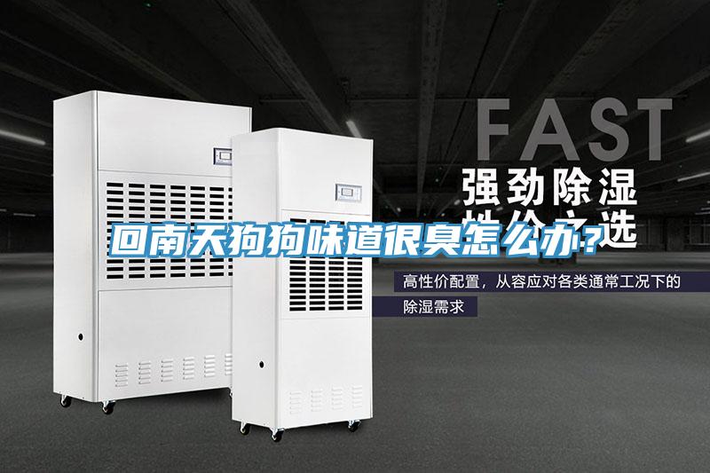 回南天狗狗味道很臭怎么辦？