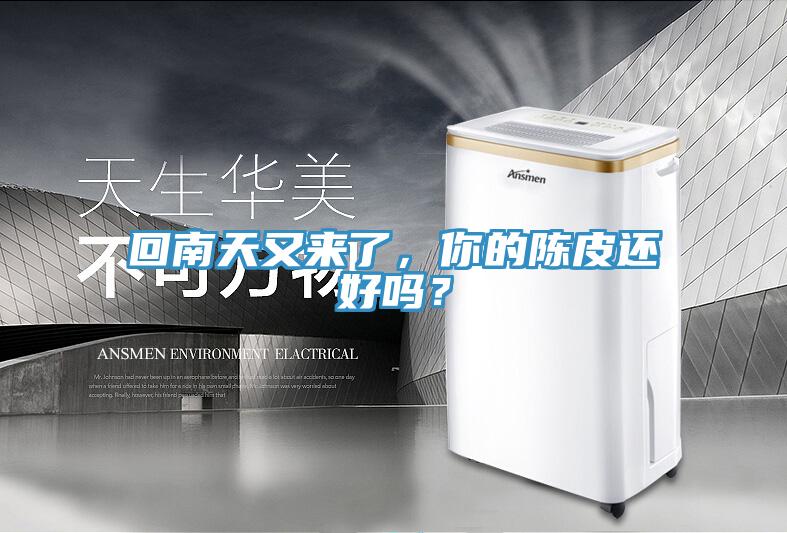 回南天又來了，你的陳皮還好嗎？