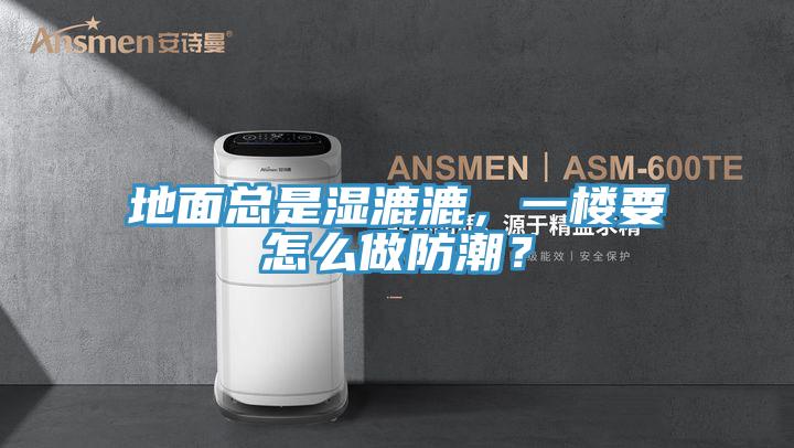 地面總是濕漉漉，一樓要怎么做防潮？